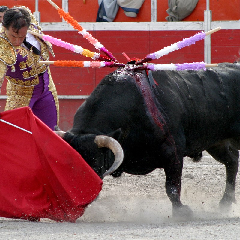 FESTIVAL TAURINO DE LUJO EN XALOSTOC