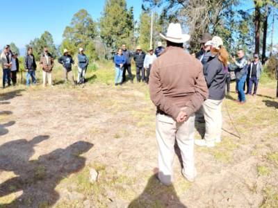 EN EMILIANO ZAPATA Y LÁZARO CÁRDENAS, INFORMAN A PRODUCTORES SOBRE EL SUBSIDIO AL MAÍZ BLANCO