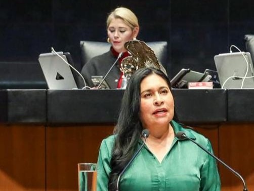 Capacitación y coordinación de fuerzas armadas mexicanas con EUA fortalece a México: Ana Lilia Rivera