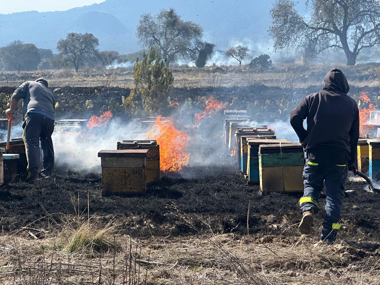Protección Civil de Ixtenco atiende incendio de pastizal; reportan afectación a colmenas