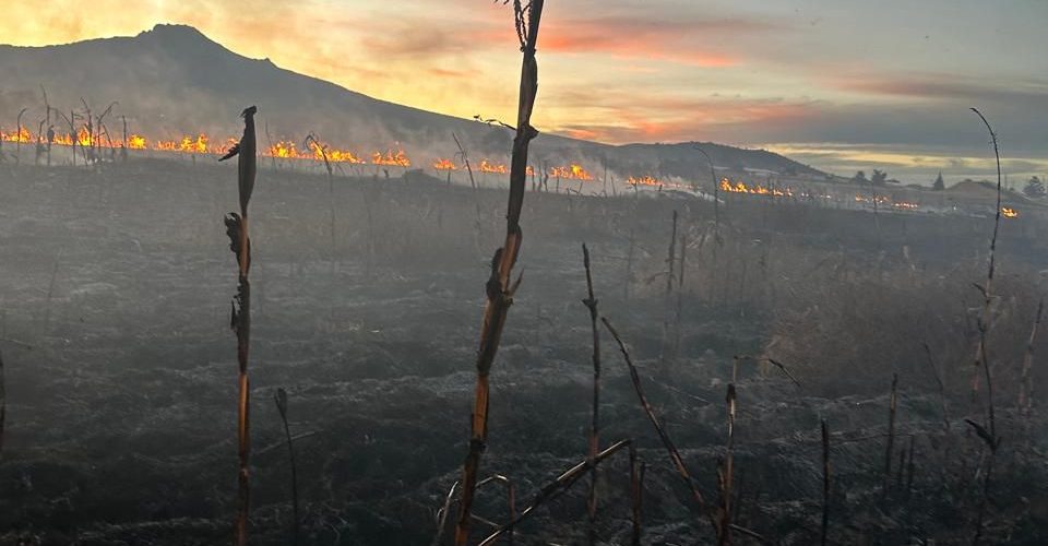 Protección Civil atiende y sofoca seis incendios en el municipio de Ixtenco