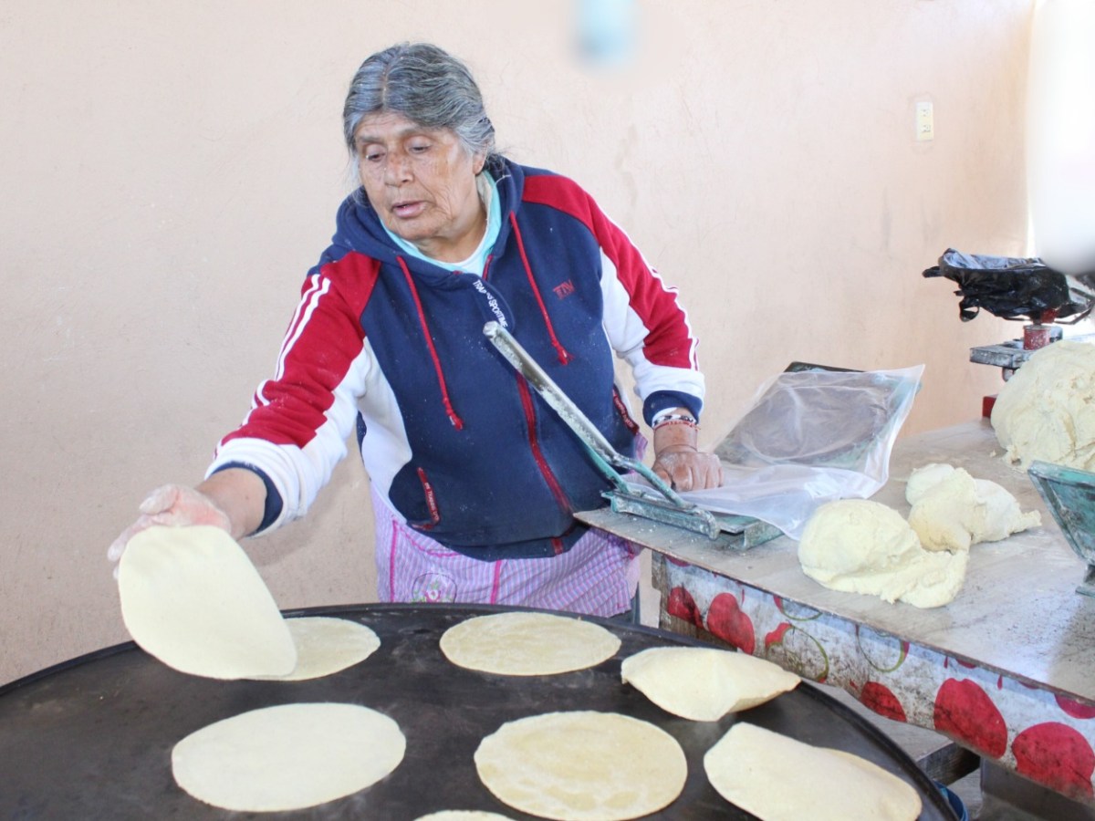 FOMTLAX PROYECTA COLOCAR MÁS DE MIL CRÉDITOS EN 2026; 70% SERÁ PARA MUJERES EMPRENDEDORAS