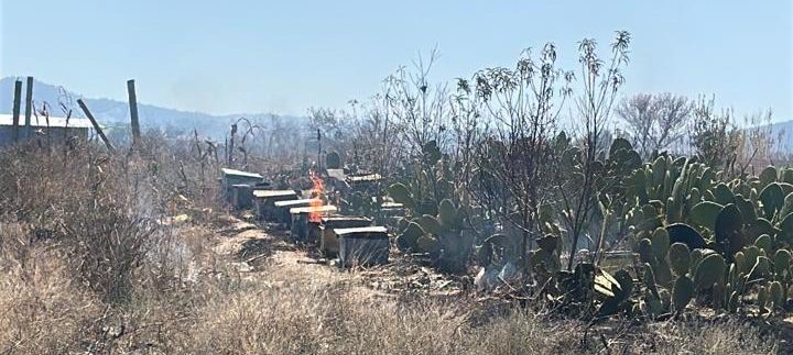Incendio en parcela afecta apiario; Protección Civil de Ixtenco logra controlarlo