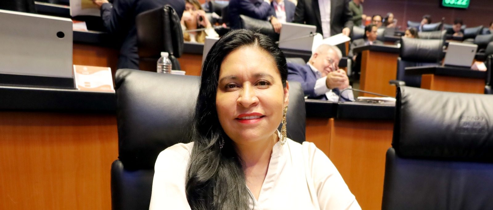 Blindar procesos electorales es fundamental para fortalecer la democracia: Ana Lilia Rivera