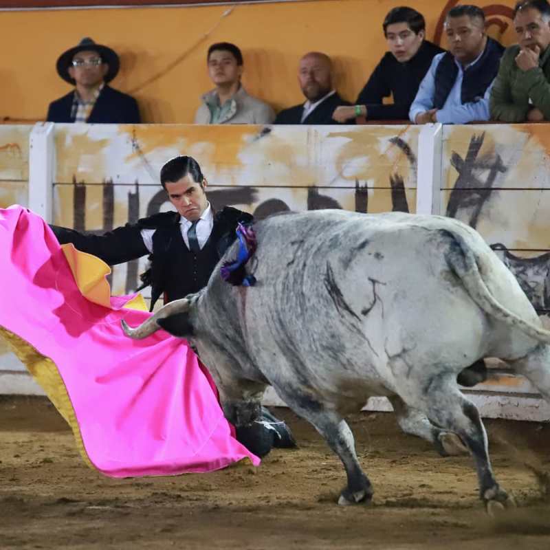 NOCHE TRIUNFAL