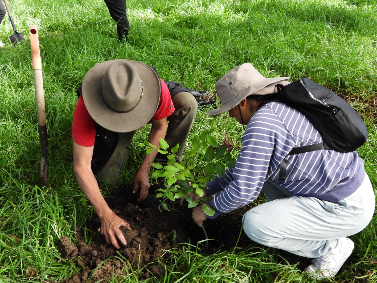Yauhquemehcan se suma a la Jornada Nacional de Reforestación 2026