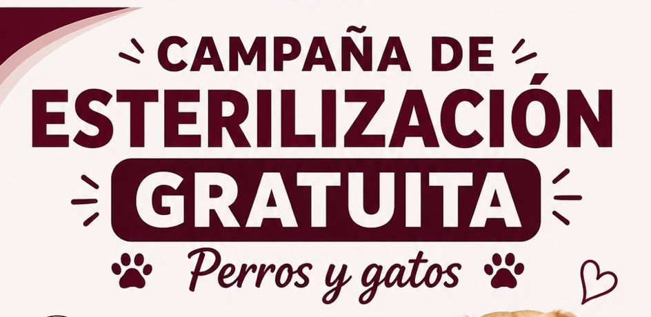 ALINE LAZO IMPULSA CAMPAÑA GRATUITA PARA PROTEGER A PERROS Y GATOS
