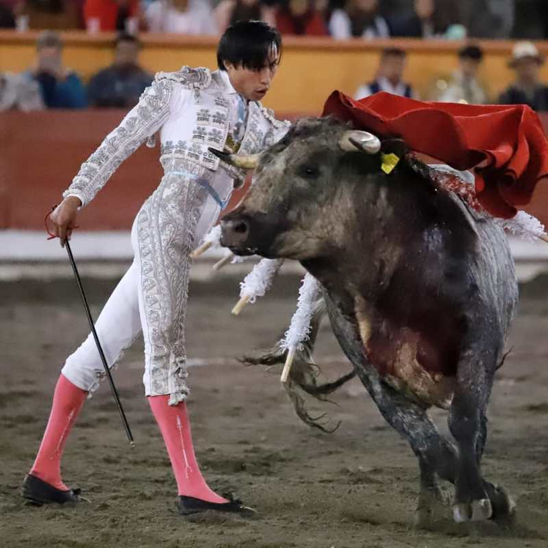 Calidad ganadera y media plaza en segunda Copa Pana