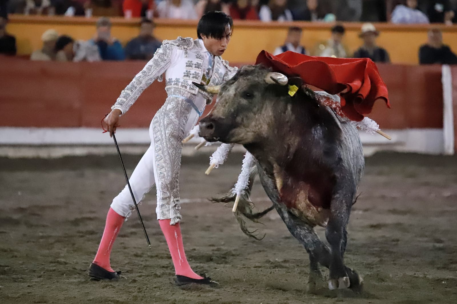 Calidad ganadera y media plaza en segunda Copa Pana