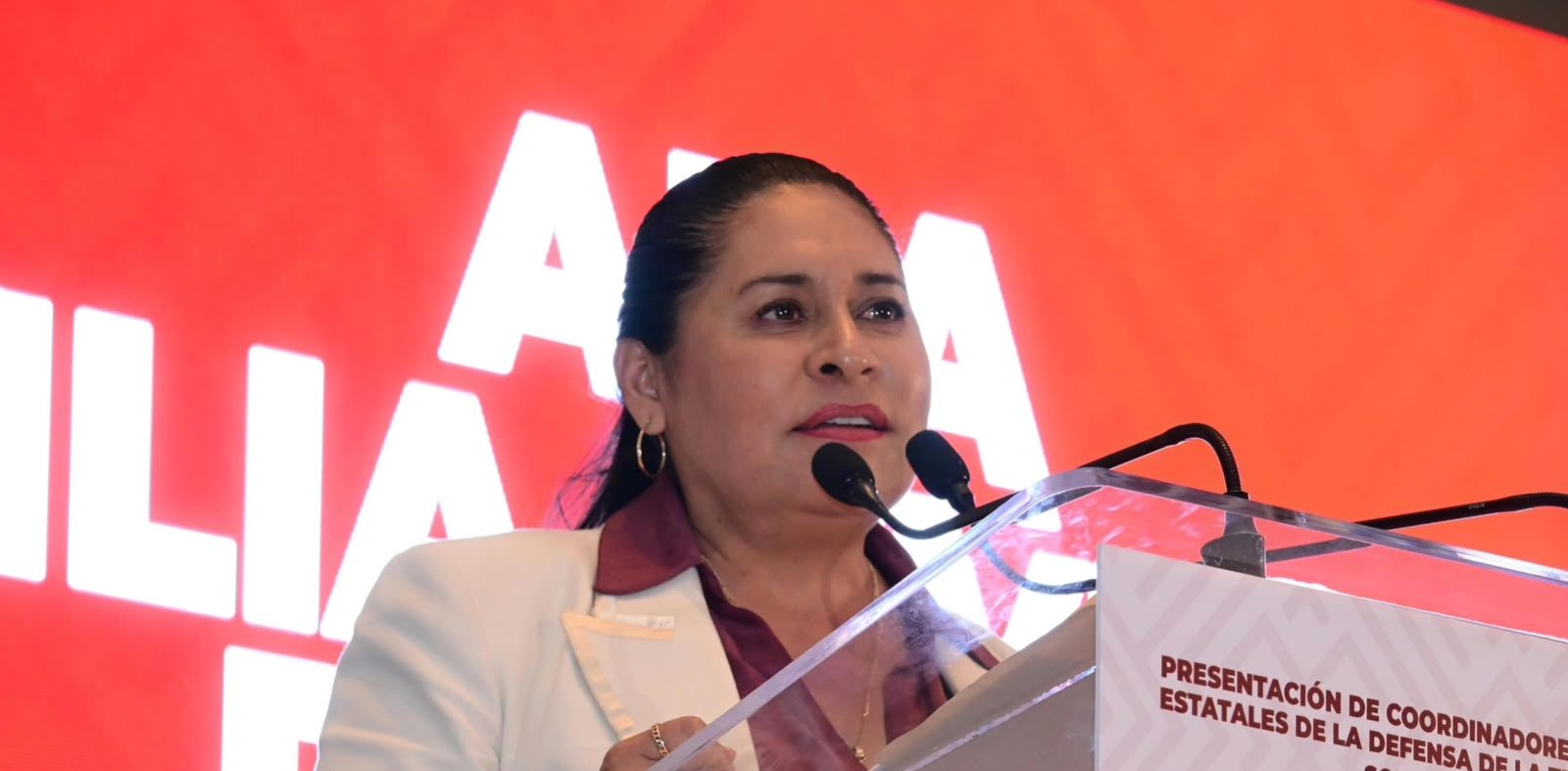 Ana Lilia Rivera llama a construir y organizar trabajo territorial en unidad