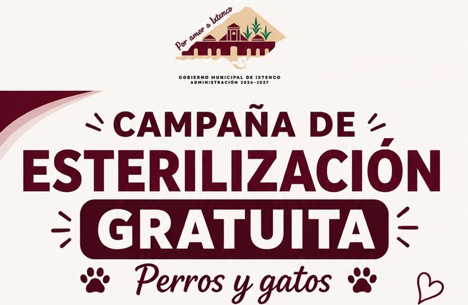 GOBIERNO DE IXTENCO ANUNCIA CAMPAÑA GRATUITA DE ESTERILIZACIÓN PARA PERROS Y GATOS
